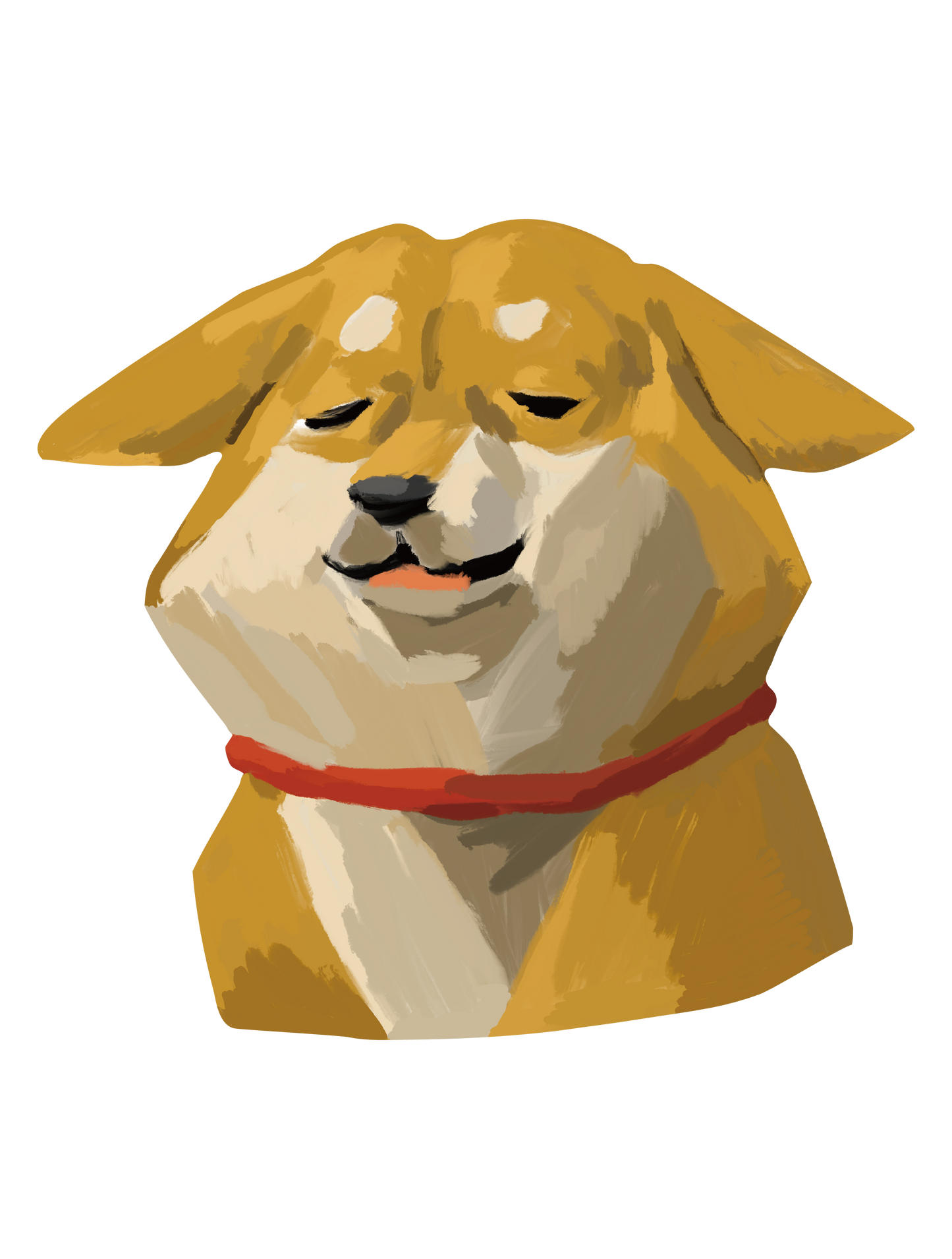 柴犬_04