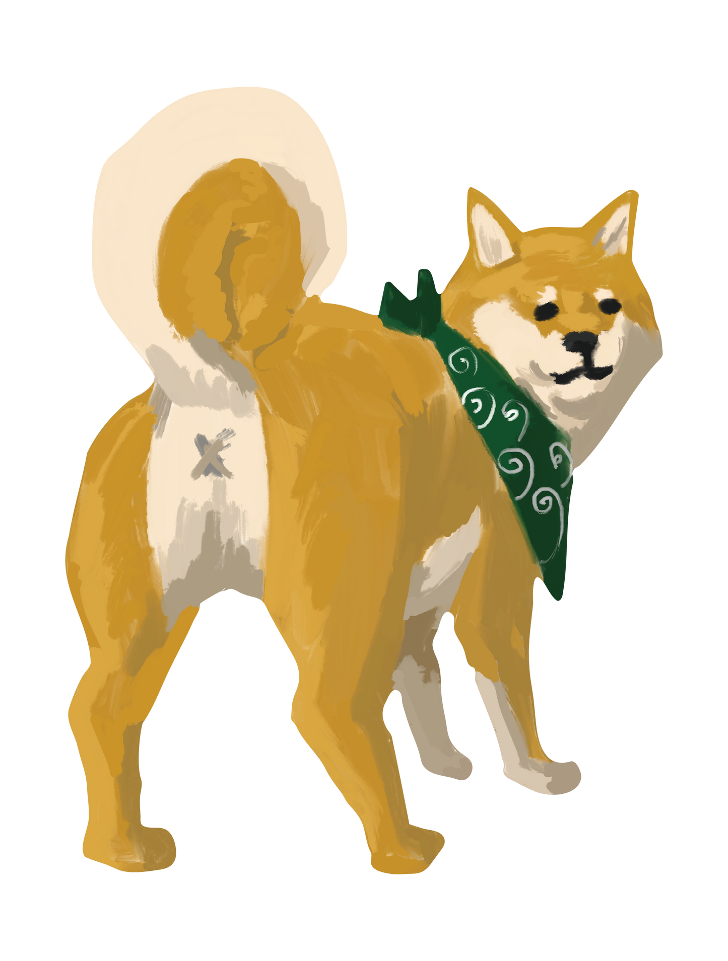 柴犬_07