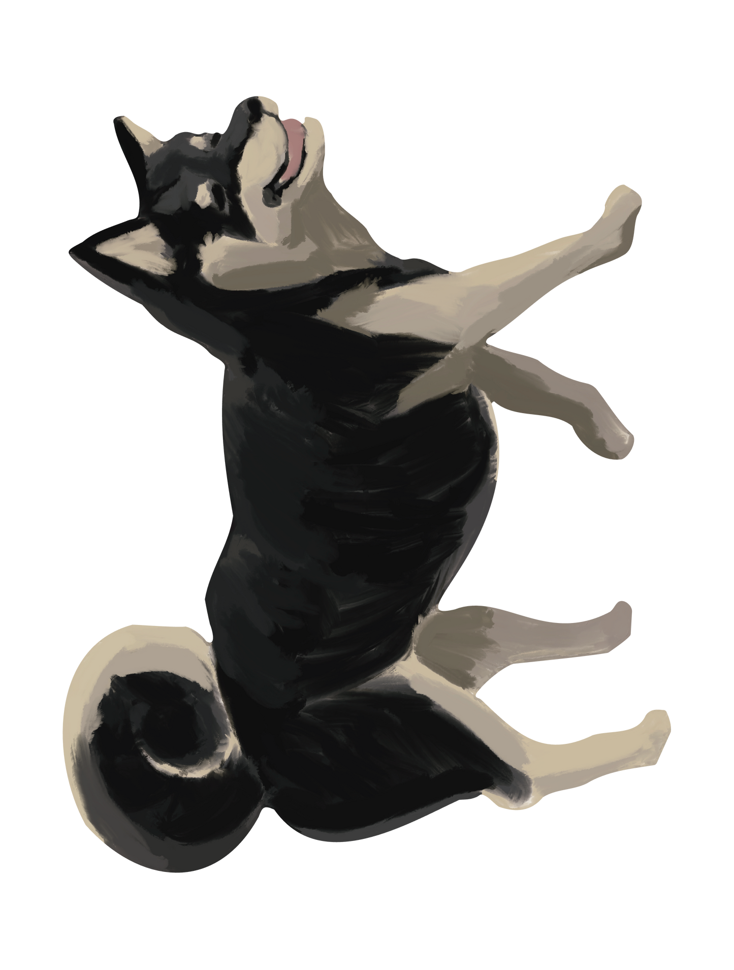柴犬_08