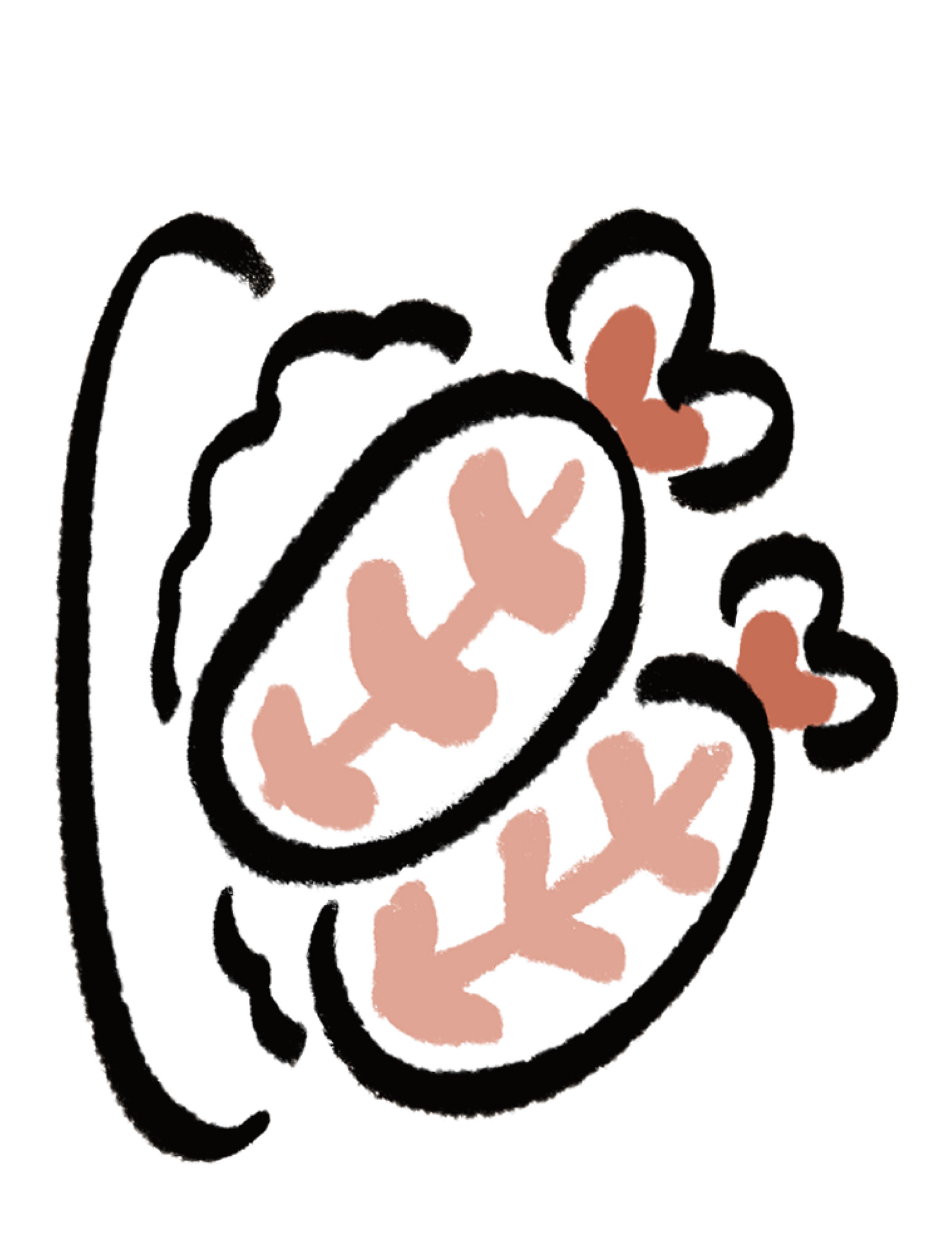だびくん_えび
