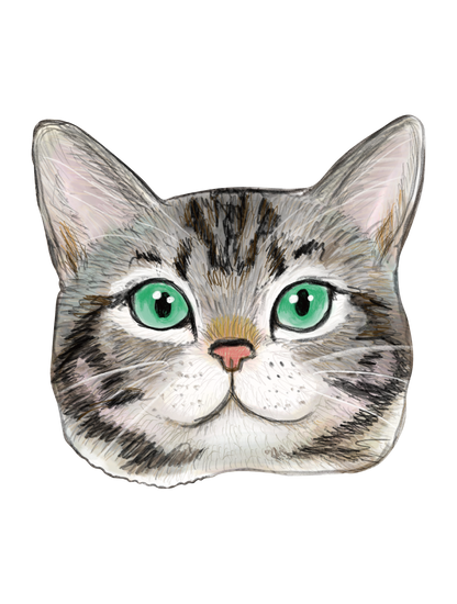 Refined Sketch Cat_americanshorthair
