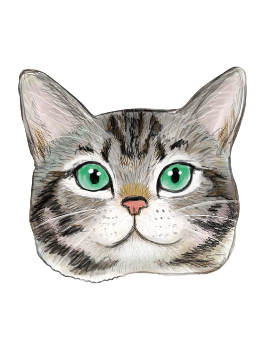 Refined Sketch Cat_americanshorthair