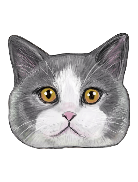 Refined Sketch Cat_britishshorthair