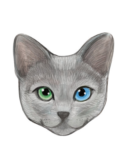 Refined Sketch Cat_russianblue