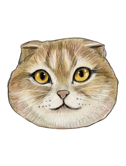 Refined Sketch Cat_scottishfold
