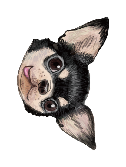 Refined Sketch Dog_chihuahua