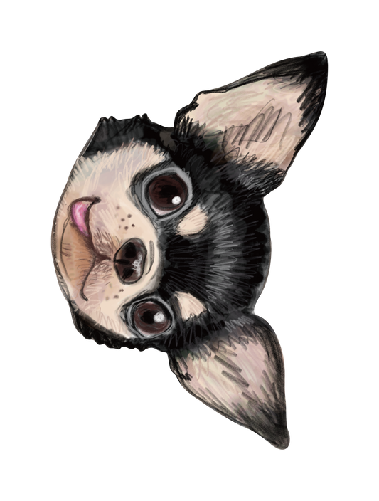 Refined Sketch Dog_chihuahua