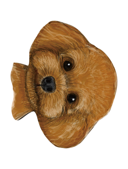 Refined Sketch Dog_toypoodle