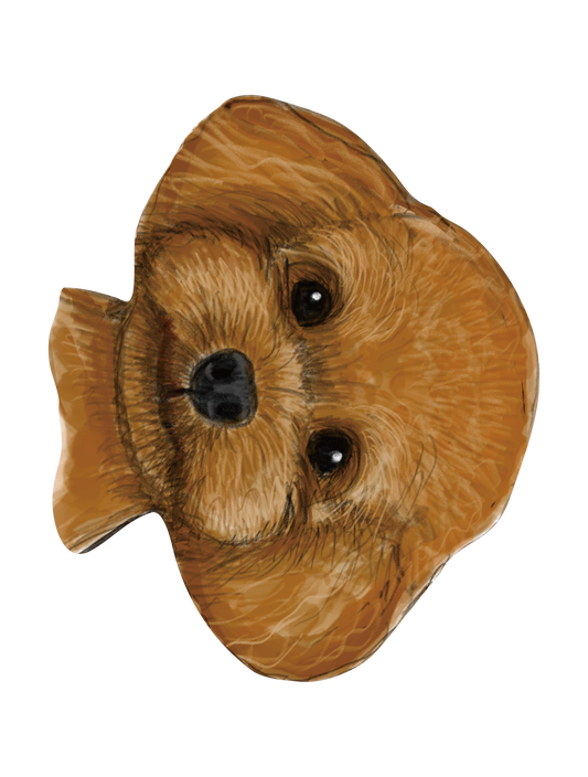 Refined Sketch Dog_toypoodle