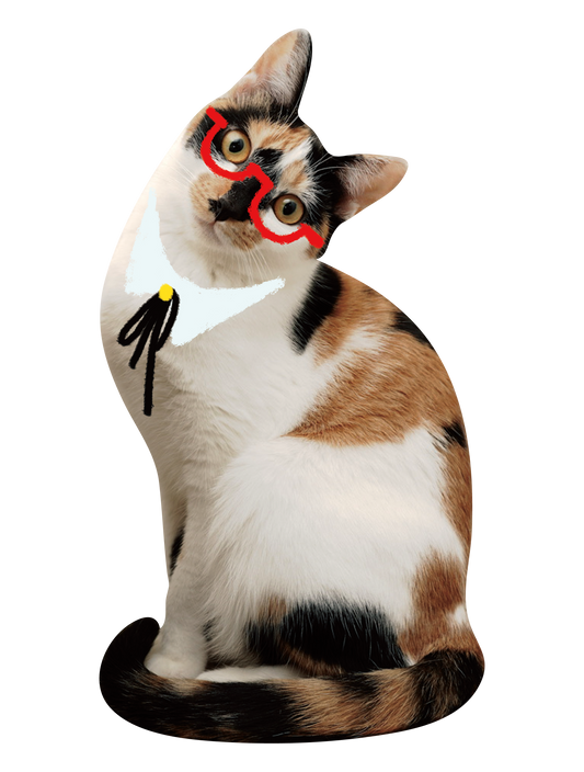 Drawn on Cats_01
