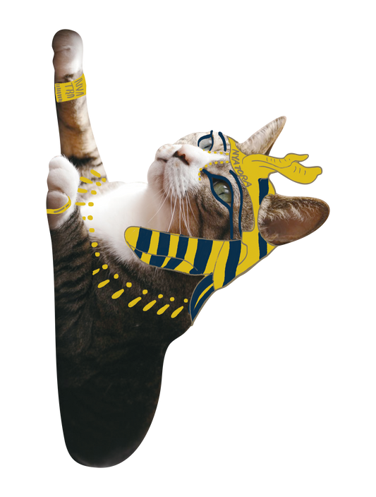 Drawn on Cats_02