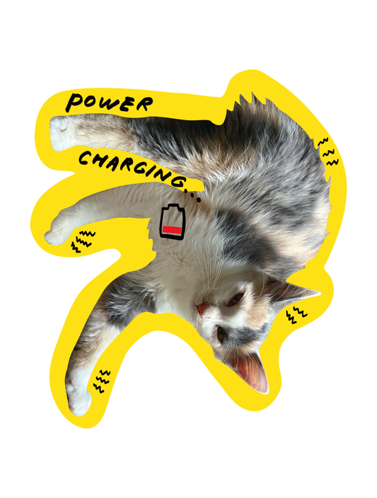 Drawn on Cats_04