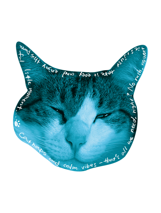Drawn on Cats_05