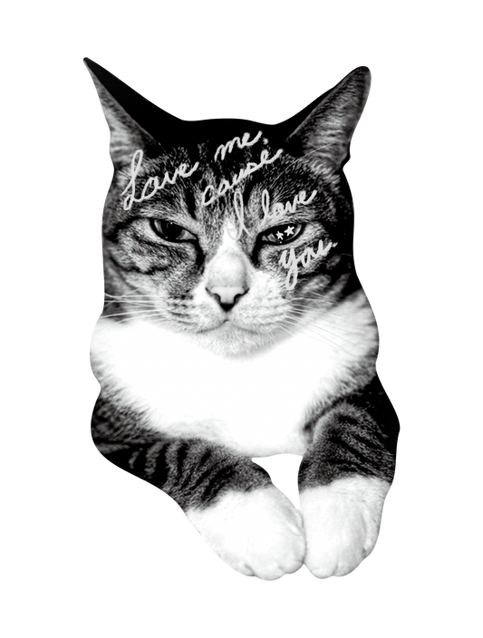 Drawn on Cats_07