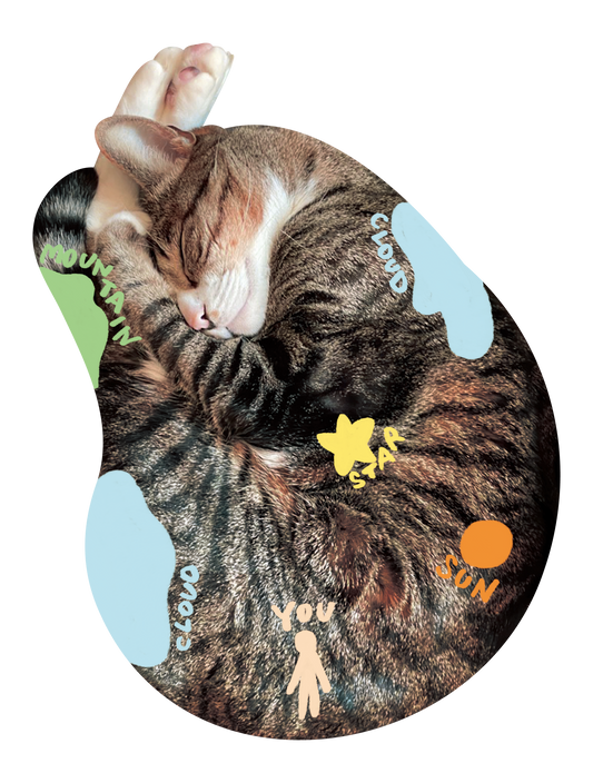Drawn on Cats_10