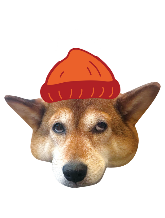 Drawn on Shibainu_02