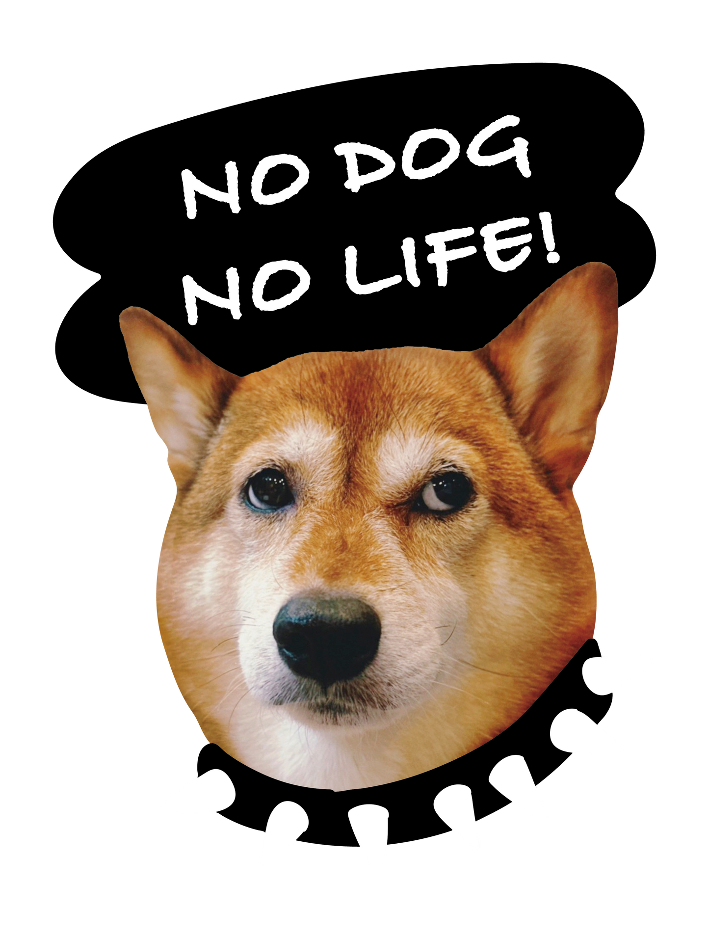 Drawn on Shibainu_05