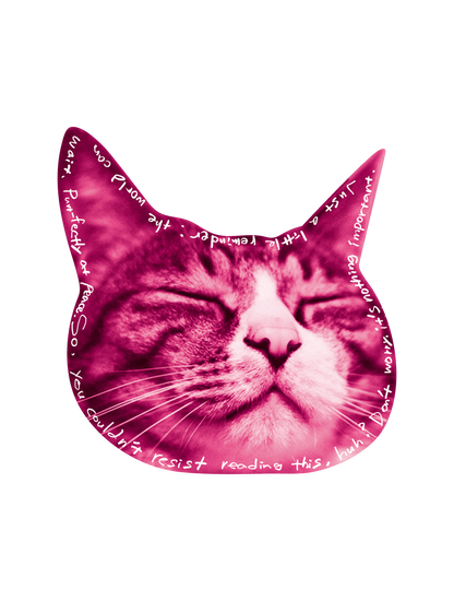 Drawn on Cats_08