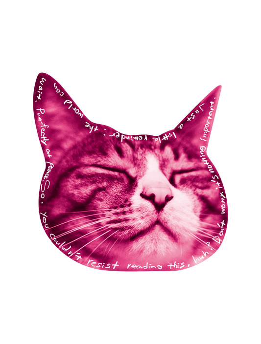 Drawn on Cats_08