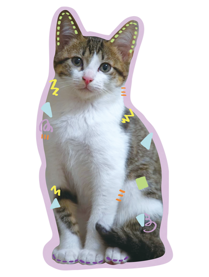 Drawn on Cats_09