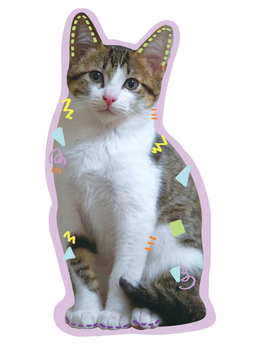 Drawn on Cats_09