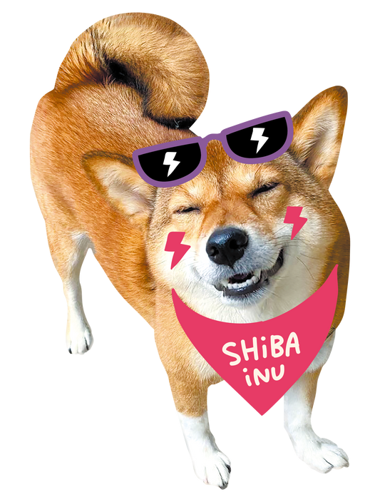 Drawn on Shibainu_07