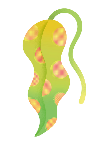 植物_01
