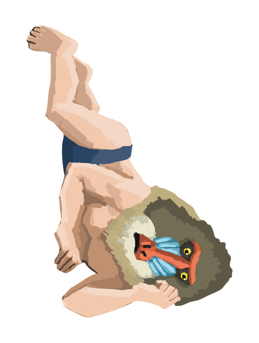 頭動物人間_マンドリル