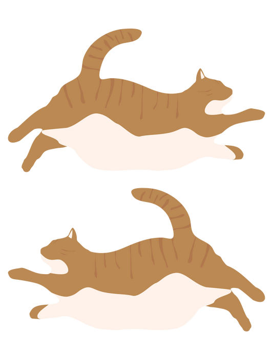シンプル犬猫ミニ_茶トラ