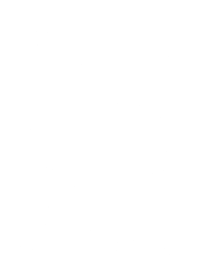 シンプル犬猫ミニ_白猫