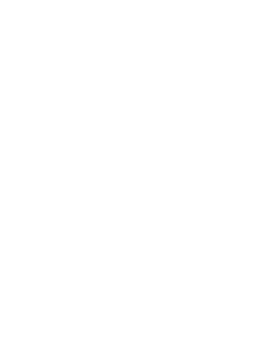 シンプル犬猫ミニ_白猫