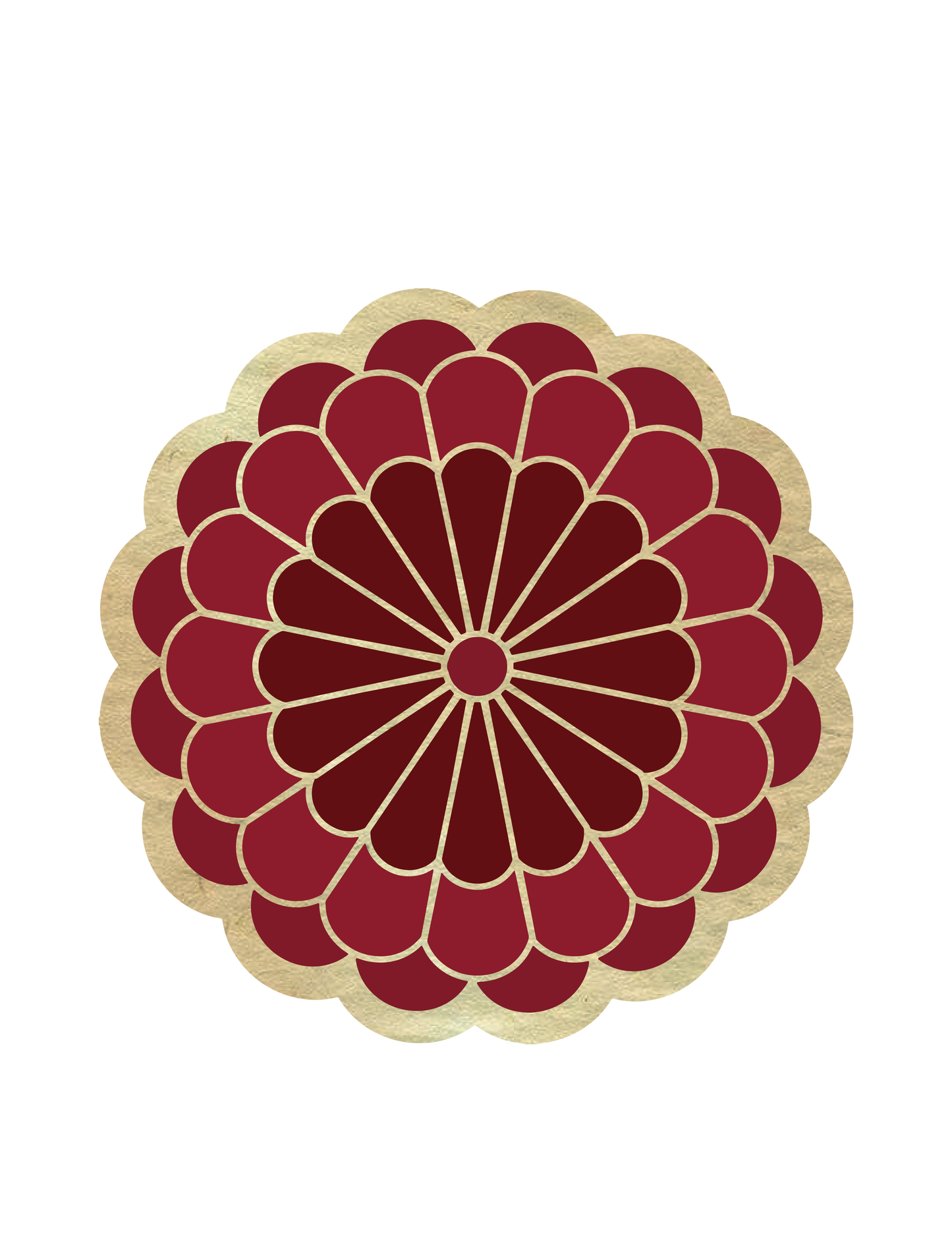 和柄_赤菊