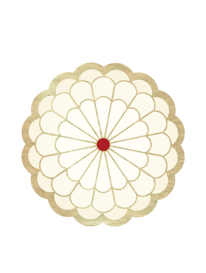 和柄_白菊