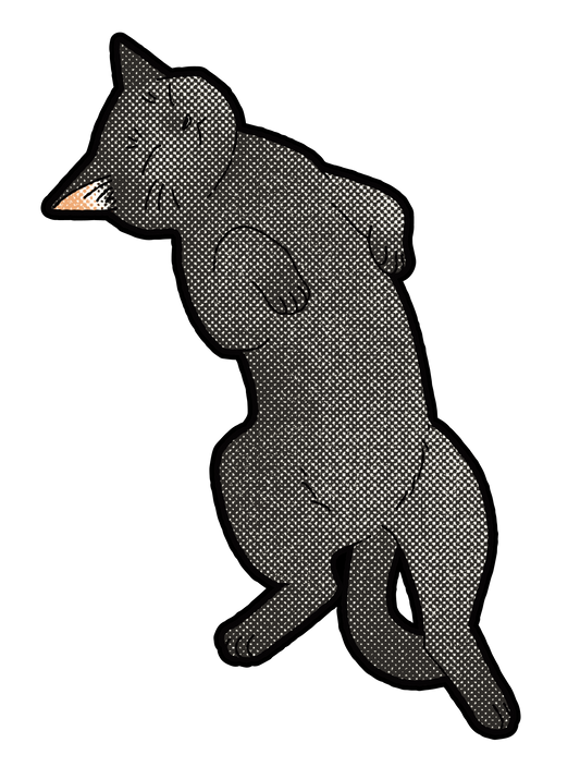キャットT_雑種黒