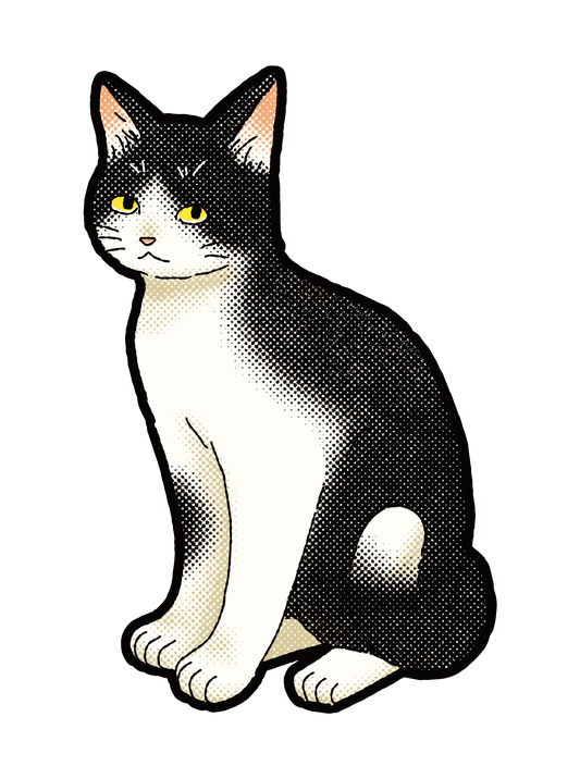 キャットT_雑種ハチワレ