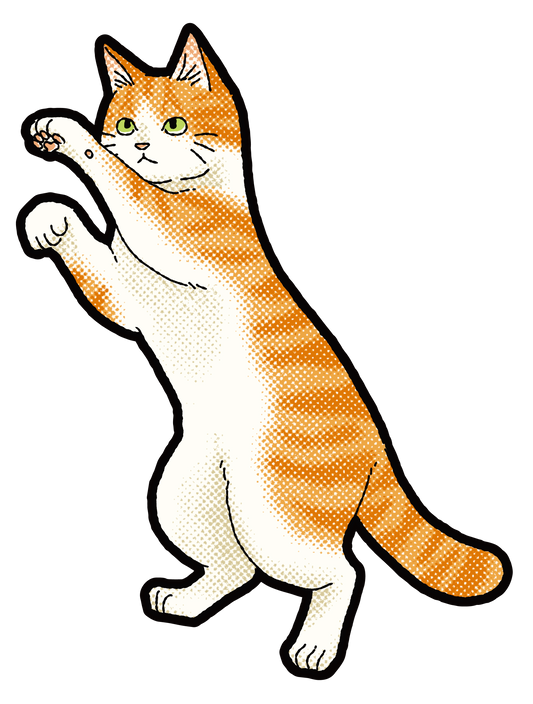 キャットT_雑種トラ