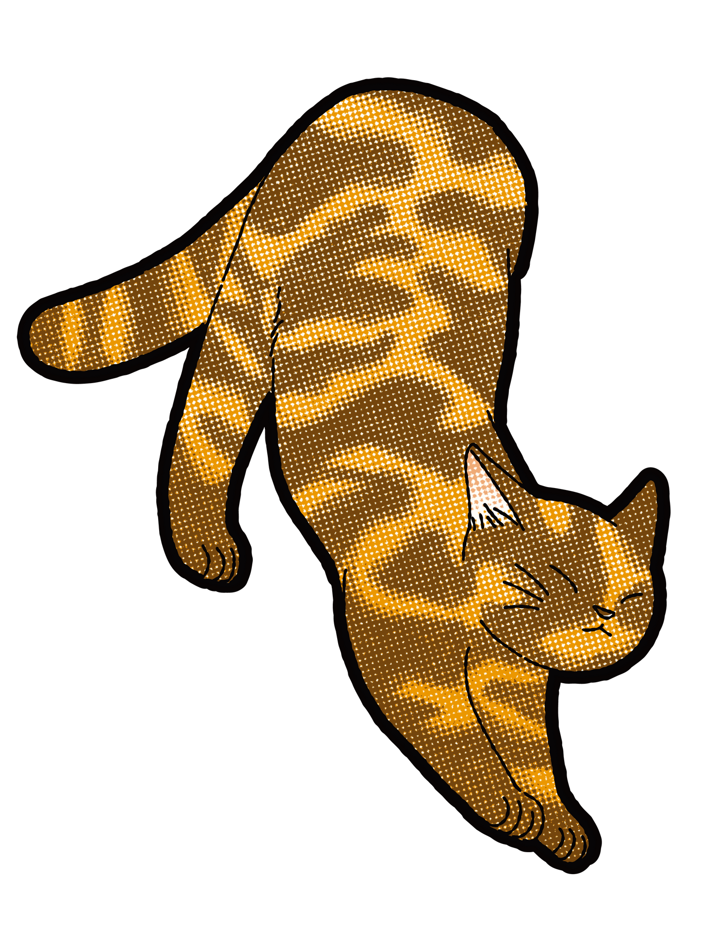 キャットT_雑種サビ