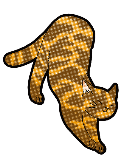 キャットT_雑種サビ