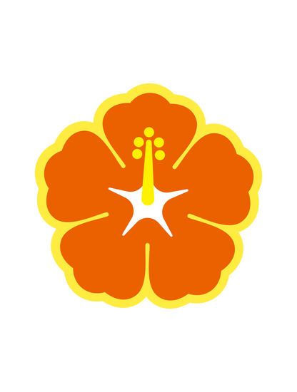 プール_ハイビスカス02 カラフル縁