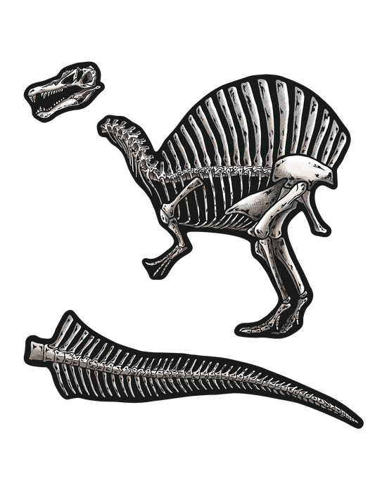 化石_スピノサウルス