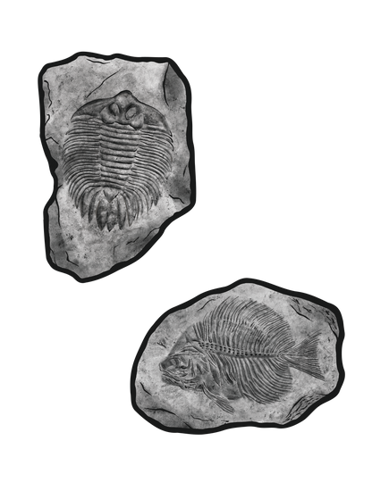 化石_三葉虫 魚