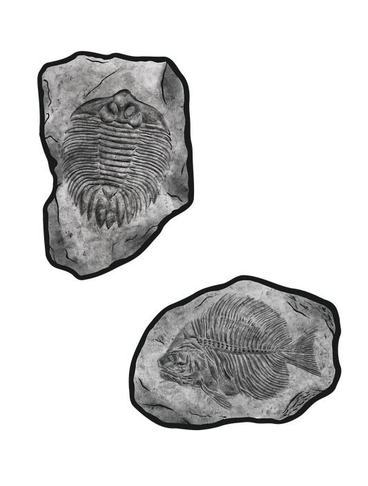 化石_三葉虫 魚