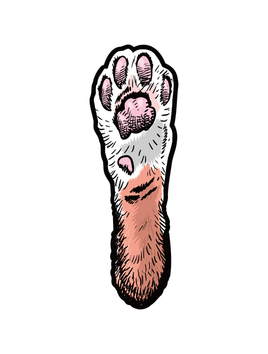 動物の手_ネコ