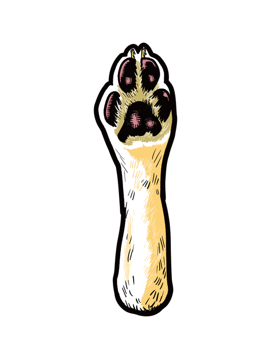 動物の手_イヌ