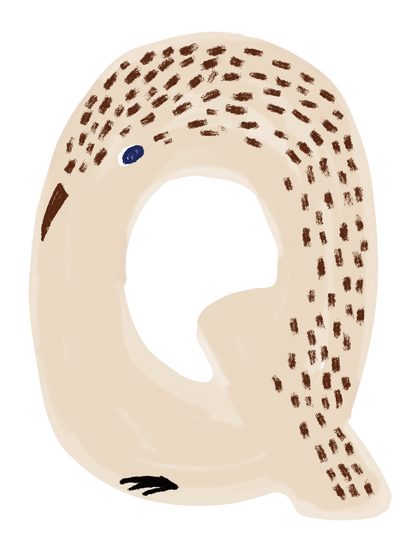 動物アルファベットI_ウズラ Q