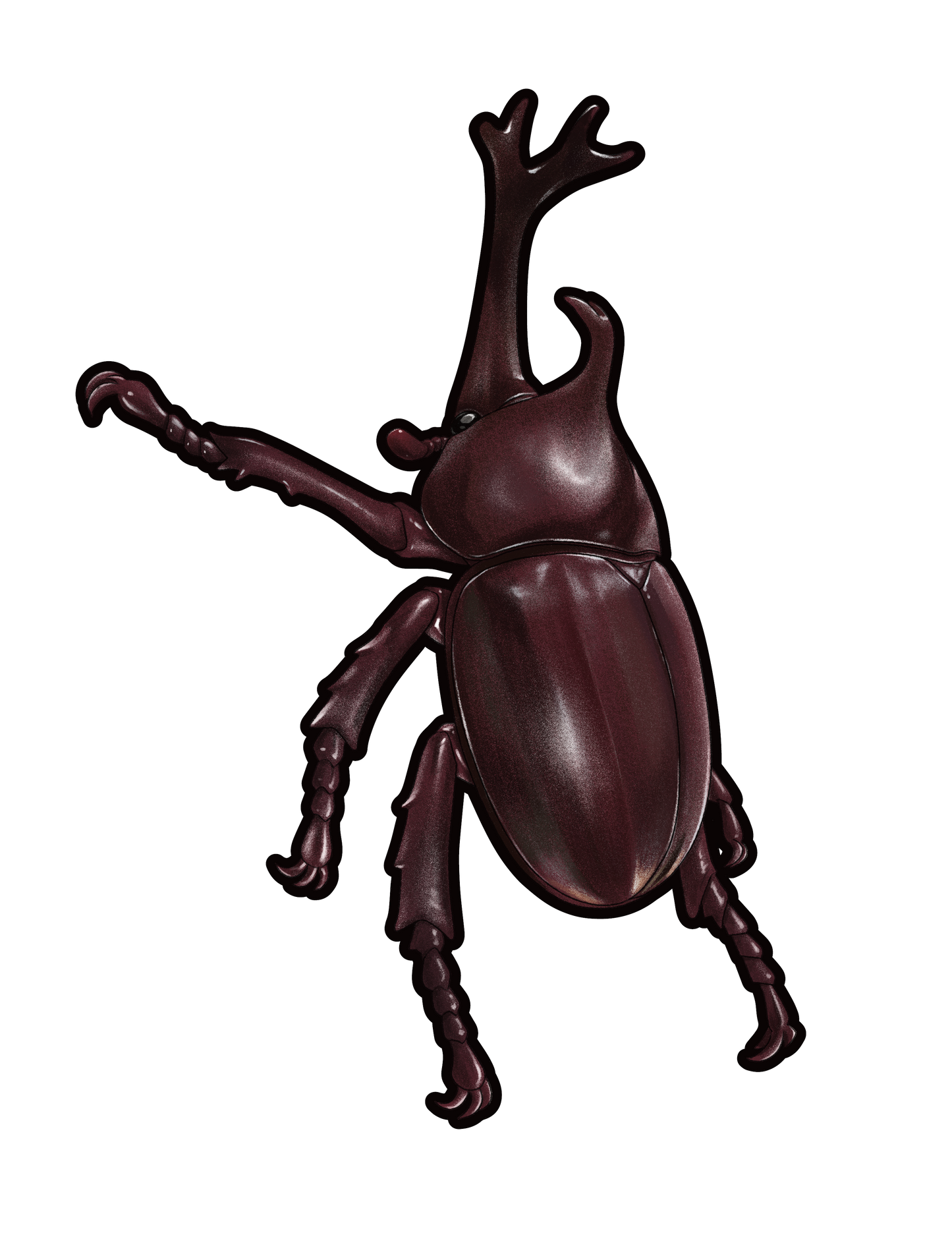 昆虫_カブトムシ_L