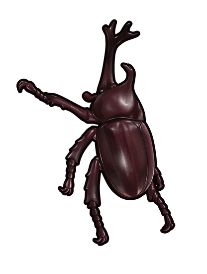 昆虫_カブトムシ_L