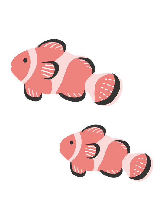 海の生き物_クマノミ