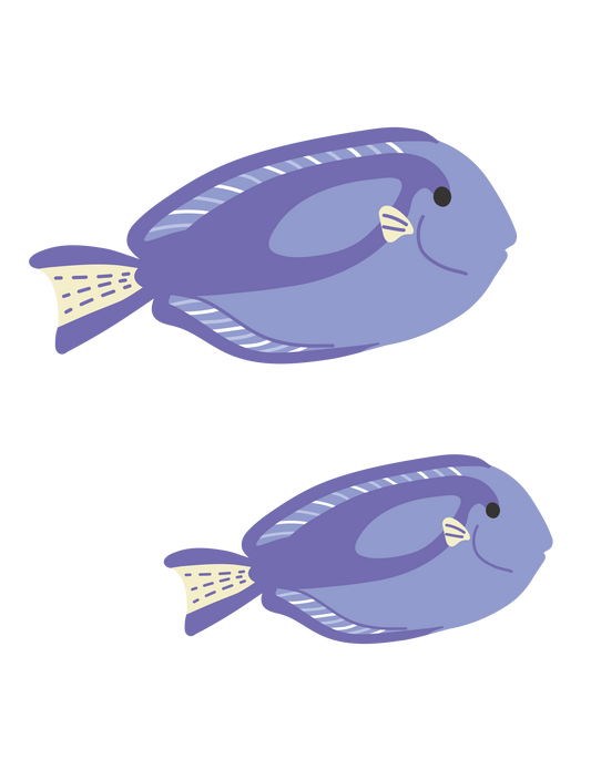 海の生き物_ナンヨウハギ