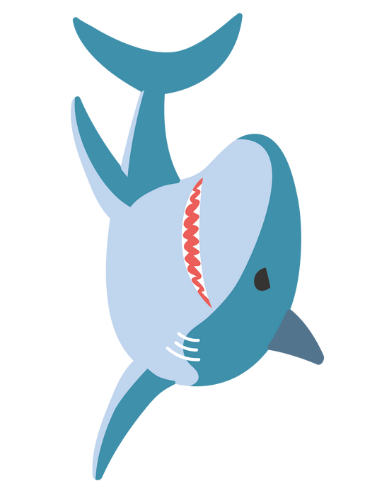 海の生き物_サメ